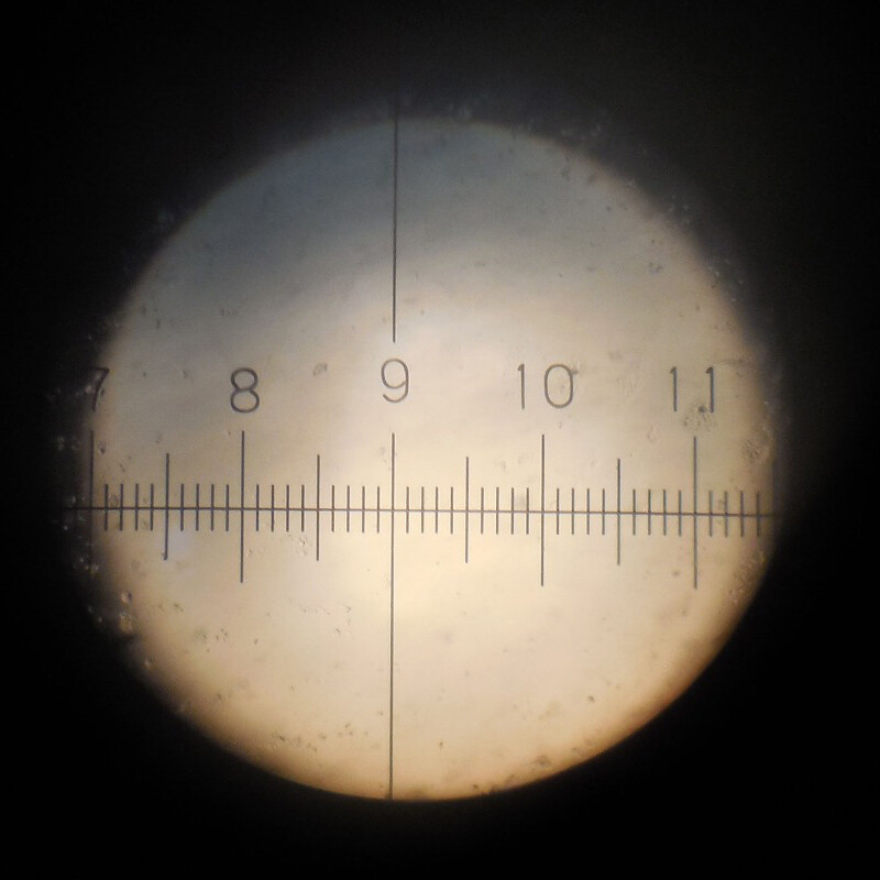Microscope Graticules 20mm Diameter DIV0.01 Cross Type Ruler Eyepiece