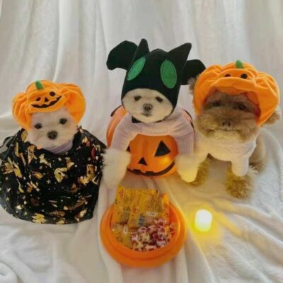 Pet Dog Pumpkin Hat Halloween Puppy Party Dress Up Props Plush Cap Dog Costume