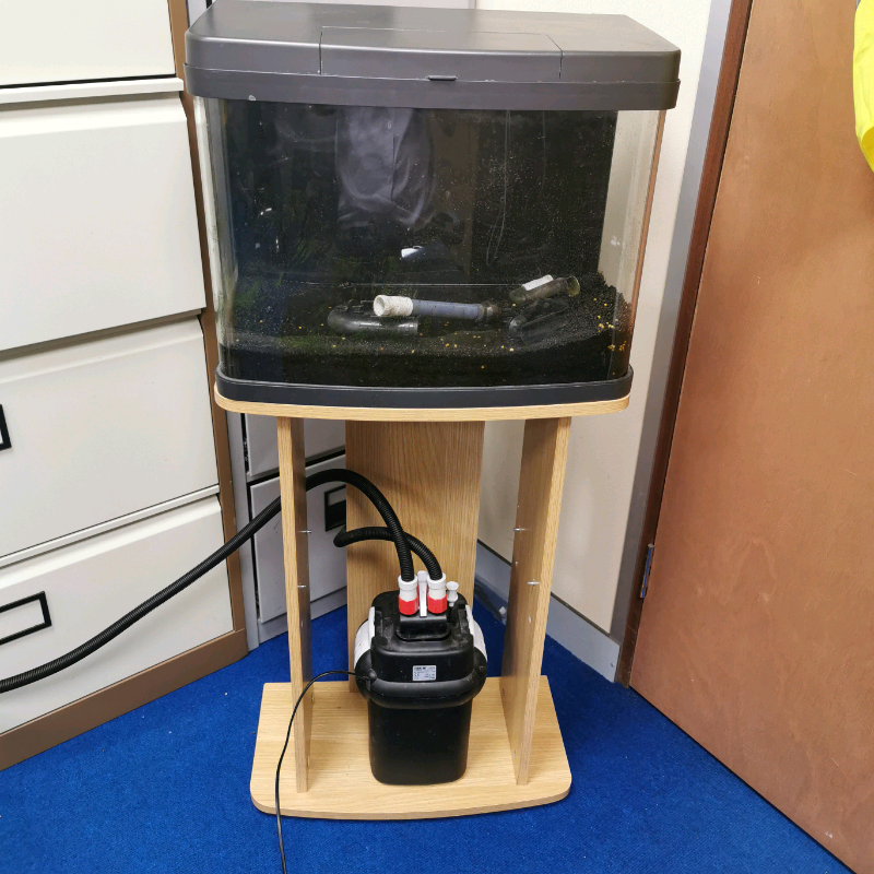Download 40l fish tank bundle | in Tewkesbury, Gloucestershire | Gumtree