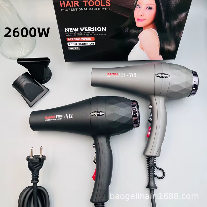 220V Quick Drying Hair Dryer 2600w High-Power Negative Ion Hair Salon Household