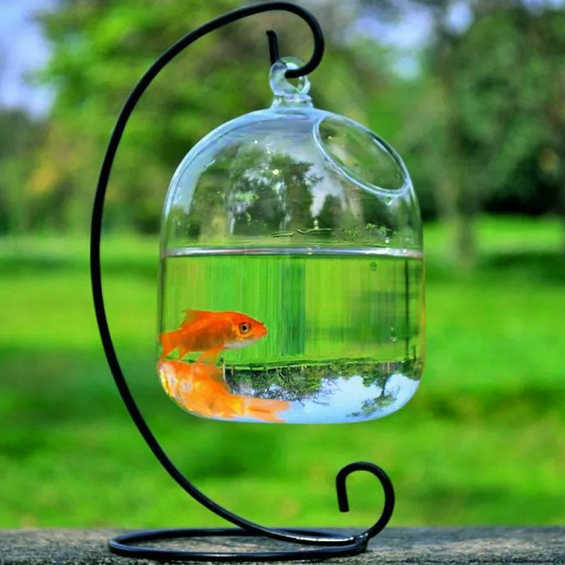 Transparent Goldfischglas Hängend Goldfischglas Vasen Bowl Aquarium Neu