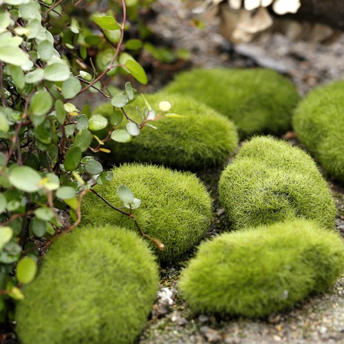 Artificial Moss Stones Grass Fake Rocks Mini Green Plant Landscape