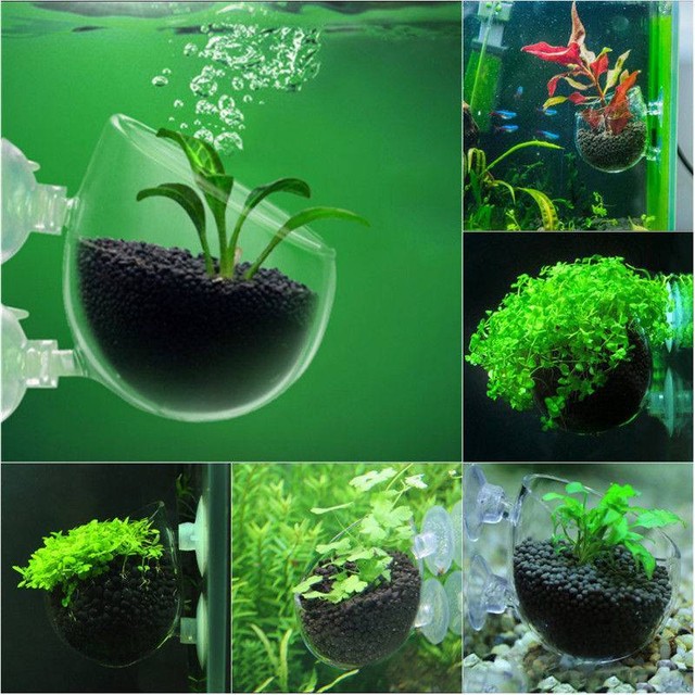 Aquarium Fish Tank Plant Growing Pot Bowl Holder with Suction Cup