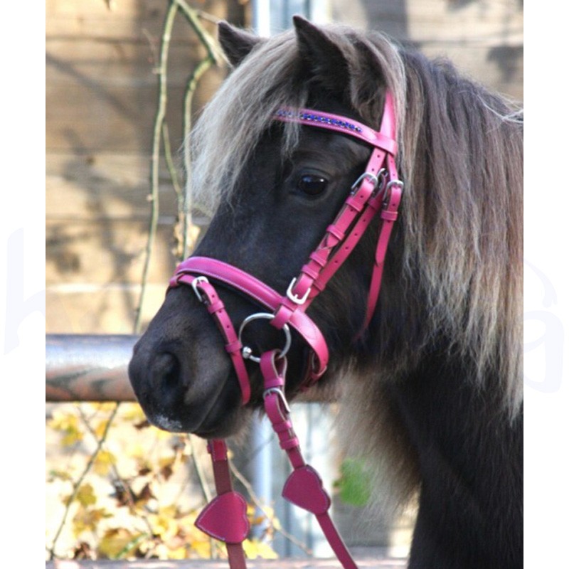 Waldhausen Trensenzaum Unicorn engl. Reithalfter