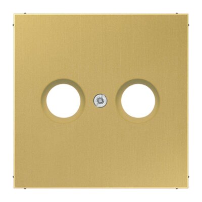 Copertura Jung ME2990TVC - 2 fori, fissaggio con vite, ottone classico nuovo