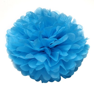 Sky Blue 10 inch Wedding Party Home Outdoor Tissue Paper Pom Poms Flower Balls