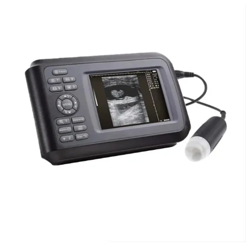 DM Cheap Clinic Handheld Machine Portable Vet Ultrasound for Animal Machine