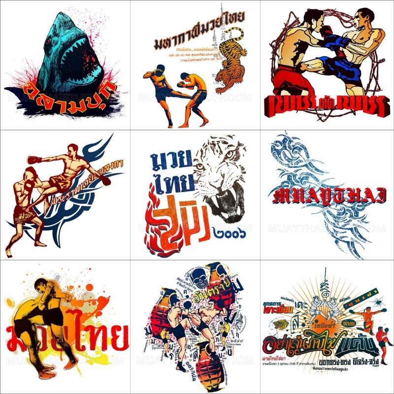 Size L Muay Thai Boxing & Martial Arts Shirts