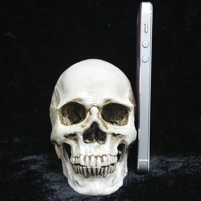 7cm anatomical