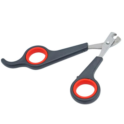 Small Pet Bird Nail Clippers Grooming Tool - Stainless Steel Parrot Accessory