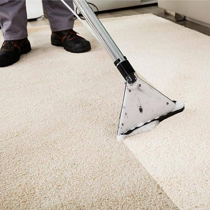 1 Gal. Carpet Shampoo Spot Cleaner Liquid Shampooer Solution Stain Remover