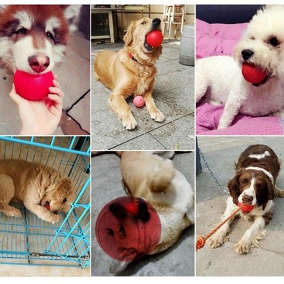 Dog Fetch Bite Toys Safety Solid Rubber Pet Dog Cat Toy Training Chew Play Balls