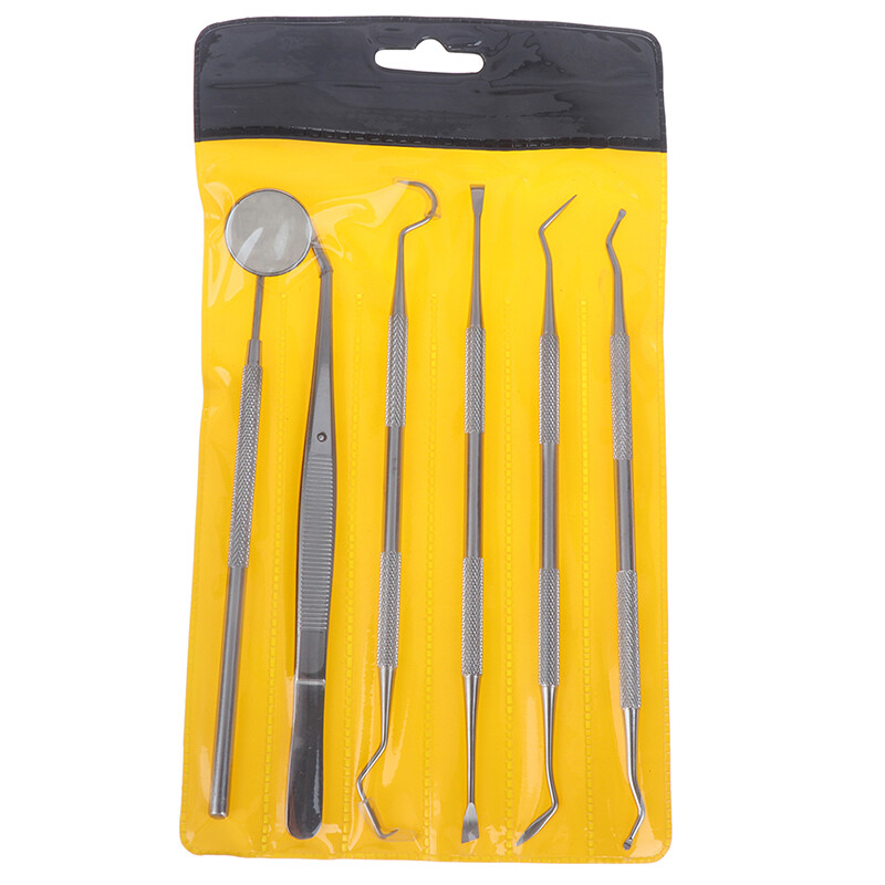Stainless Steel Dental Set Dentist Teeth Kits Oral Cleaning Probe