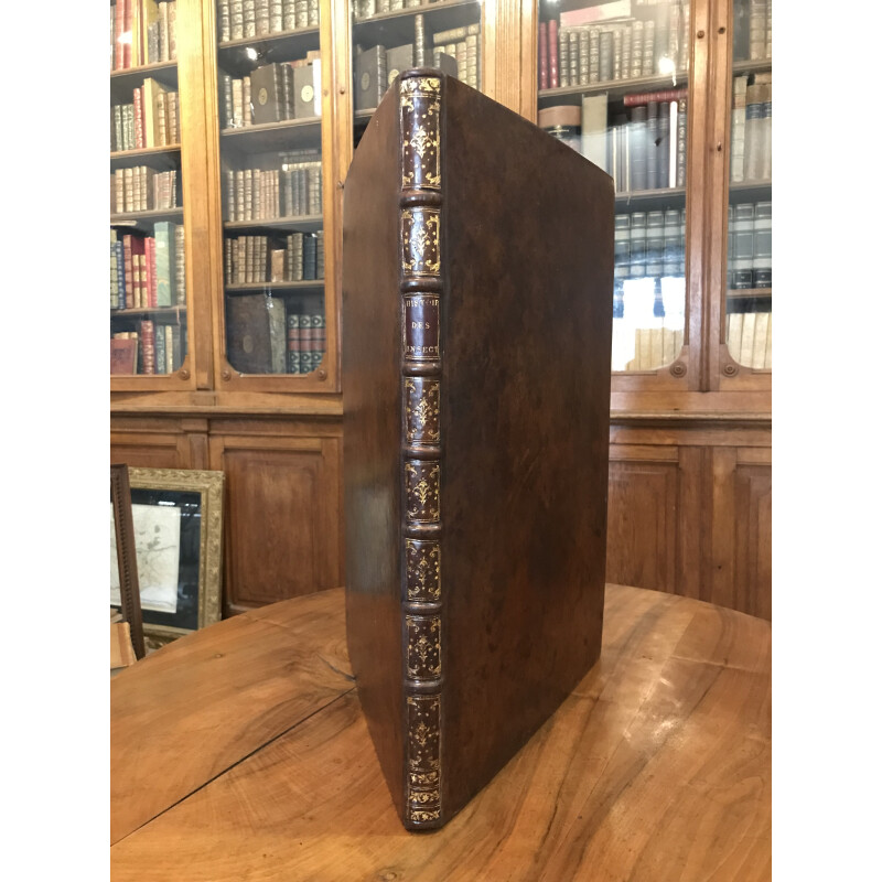 Merian Maria Sibylla Histoire Des Insectes De L'Europe Planches GravÃ©Es Geant Fo