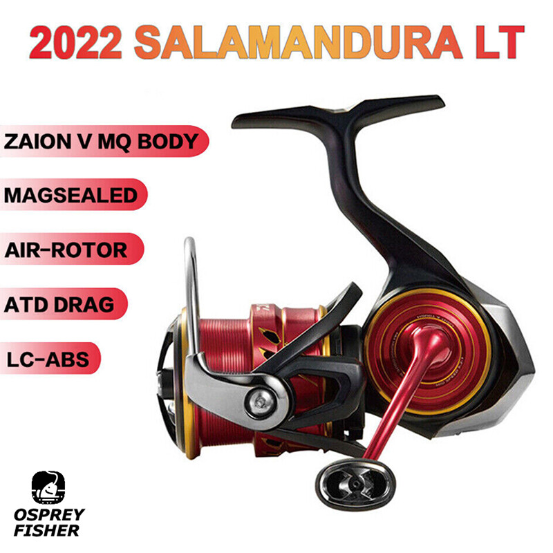 Daiwa INTERLINE PROGRAND 　　磯　1.5-53 Daiwa INTERLINE PROGRAND 磯 1.5-53 Amazon.com : Daiwa