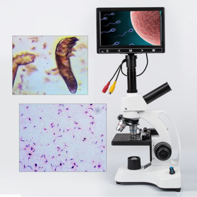 40X-2000X Biological Microscope Sperm Locust Blood Test Microsocpe w/7  Screen