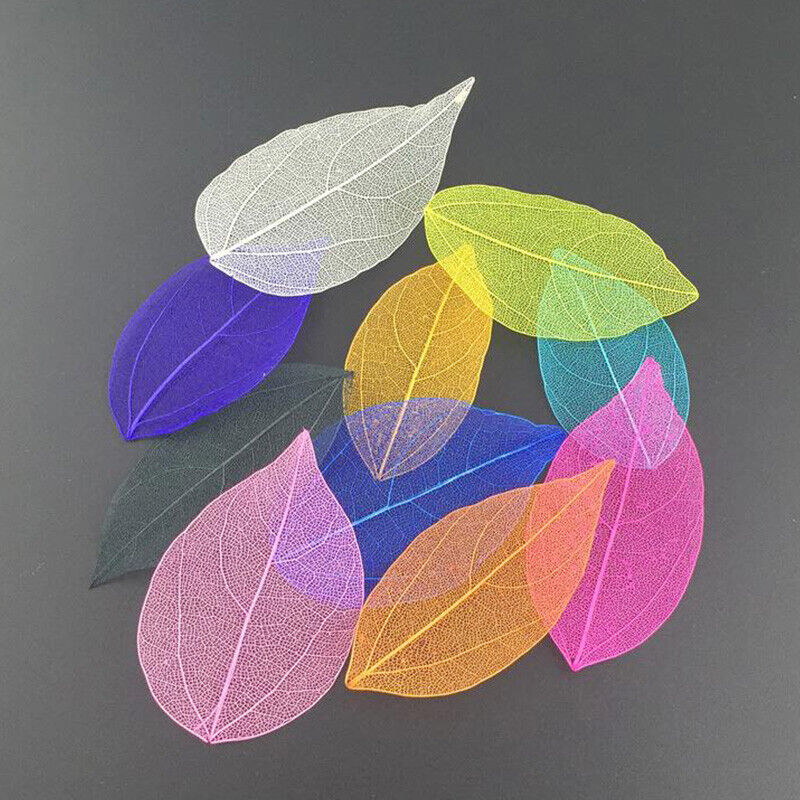 20PCS Natural Dried Skeleton Leaves Crafts Embellishments Bookmark Making DIY