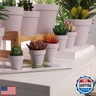 Yishang 1.9 Inch Tiny Pink Terracotta Pots Pack of 72-Small Mini White Clay Pots with Drainage Holes Flower Nursery Terra Cotta Planter for Tiny Cactus,Herb,Succulent Plants,Crafts