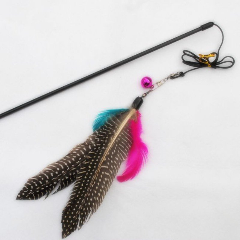 Pet Fit for Life Multi Feather Teaser and Exerciser for Cat 
