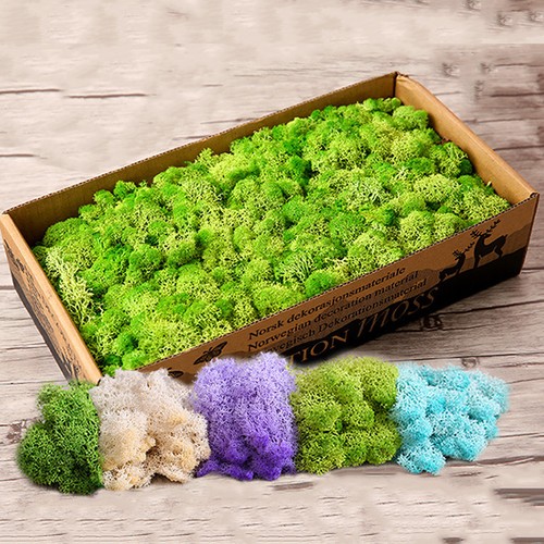 Artificial Moss For Planters, Artificial Green Moss For Potted Plants Craft Decorative Moss Decor Dried Moss 1 1 1 8 3 5 Oz