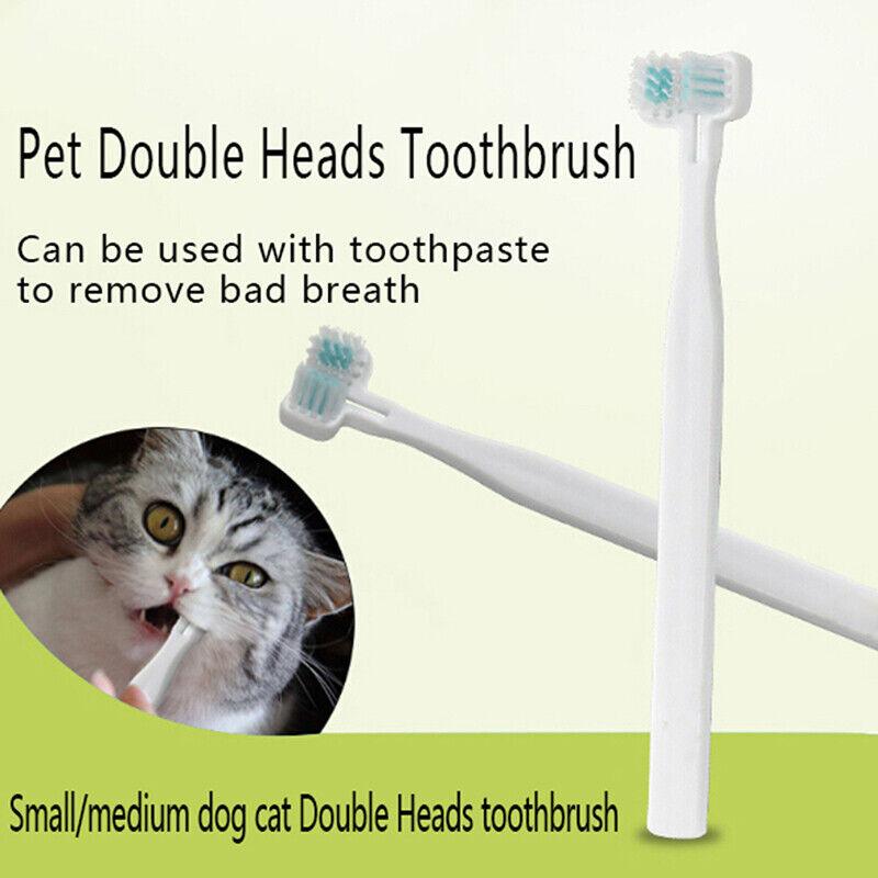 Double Heads Teeth Brushing Atemerfrischer Mundpflege für Hundekatze KätzchenXUI