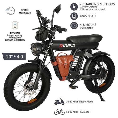 1200W Electric Bicycle 32MPH 48V/20Ah Commuter Off-road Dual