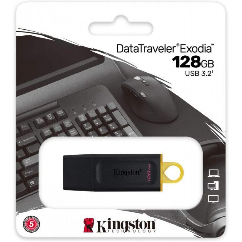 Pendrive Kingston Penna USB 3.2 Chiavetta Memoria 128GB hsb