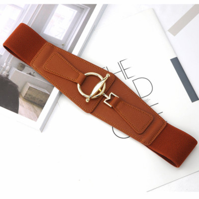 Wide Elastic Stretch Belt for Women Classic Ladies Fashion Waist Cincher Gift