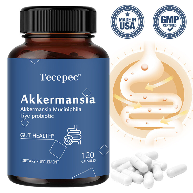 Akkermansia Muciniphila Capsules Probiotiques Vivantes SantÃ© Intestinale