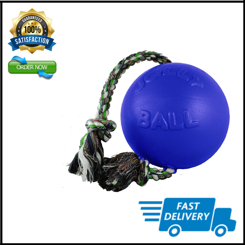 Romp-n-Roll Rope and Ball Dog Toy, 8 Inches/Large, Blue