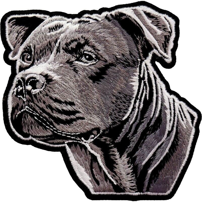 PITBULL     8+     PE1.5号 51TCmEpagaL._AC_SY200_QL15_.jpg