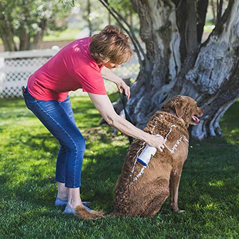 Foamcare Medicated Pet Shampoo by  | Sensitive Skin Shampoo for Dogs, Cats, and