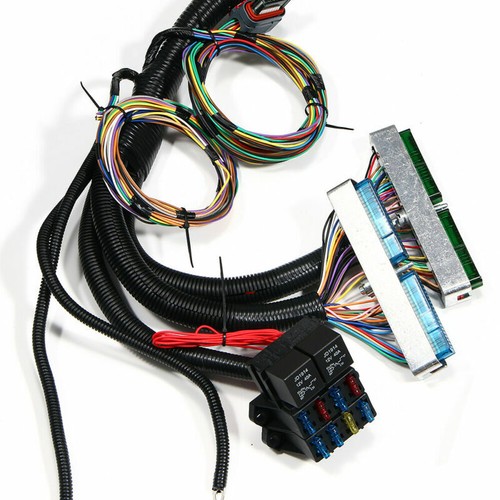 New Standalone Wiring Harness W/ 4L60E For 97-06 DBC LS1 Engines 4.8 5.