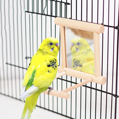 Bird Mirror With Perch Bird Perch Mirror Toy - Bird Cage With Glass Mirror And Perch