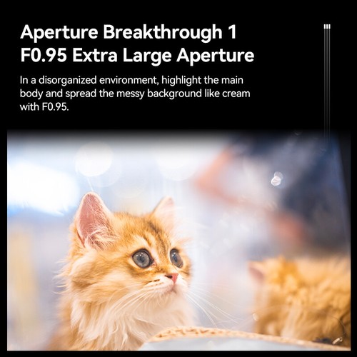 Brightin Star 35mm F0.95 APS-C Fixed Focus Lens for Canon Nikon Sony Fuji M4/3