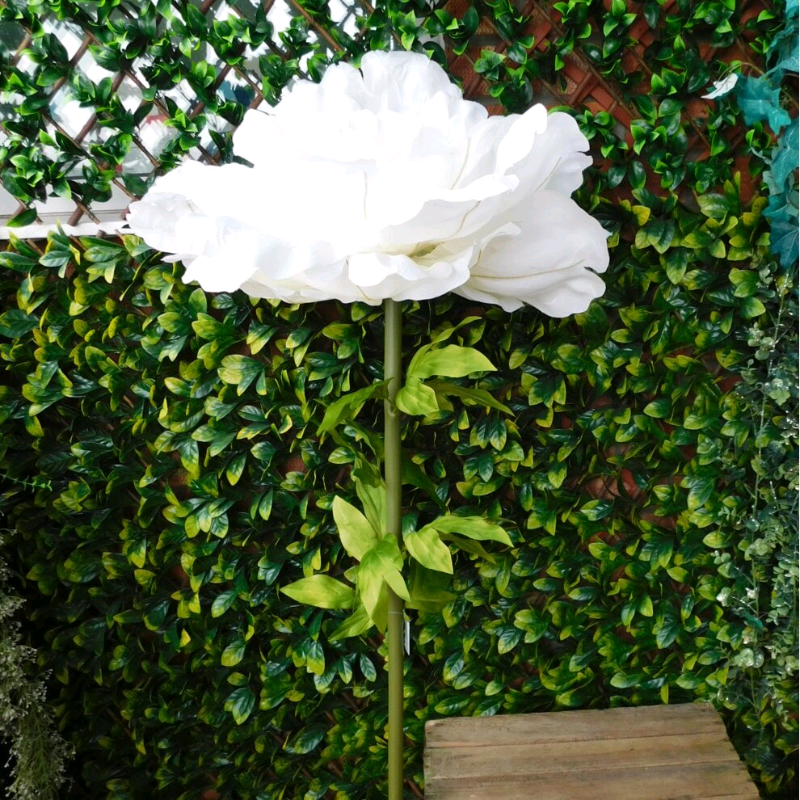 Flower Delivery Launceston Cornwall Best Flower Site