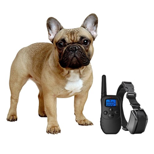 Shock Collar For Small Dogs W/Remote + Free Trainingclicker- 3 Mode Dog Training