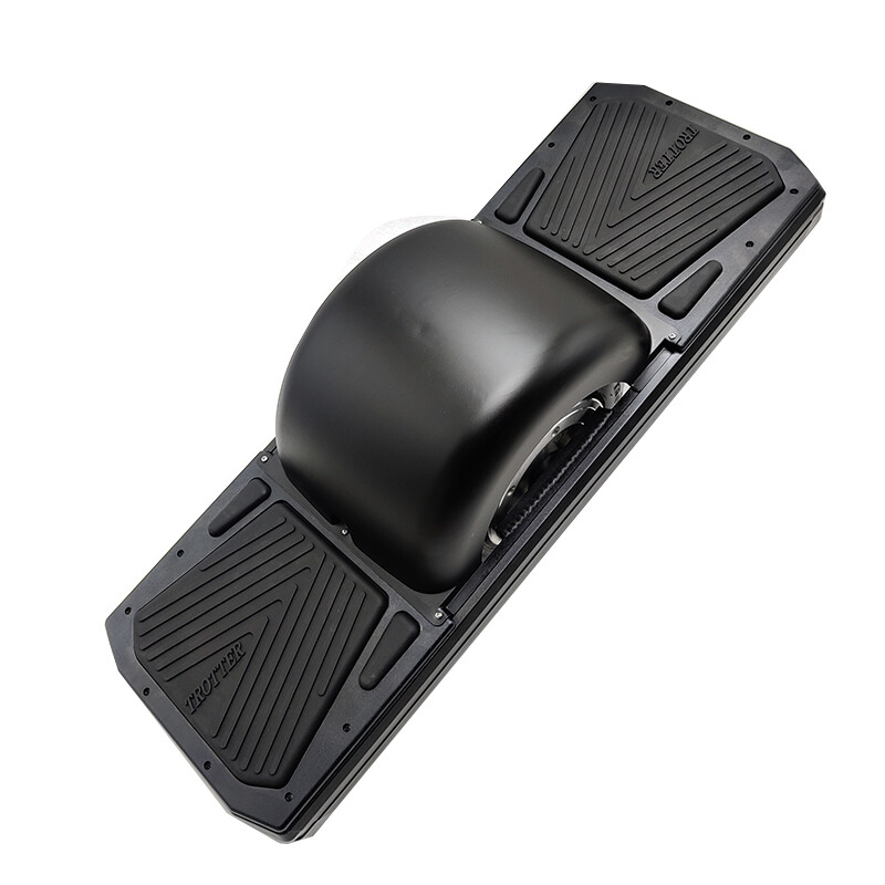 Trotter Electric Skateboard 250Wh Battery 700W Motor with One Wheel only