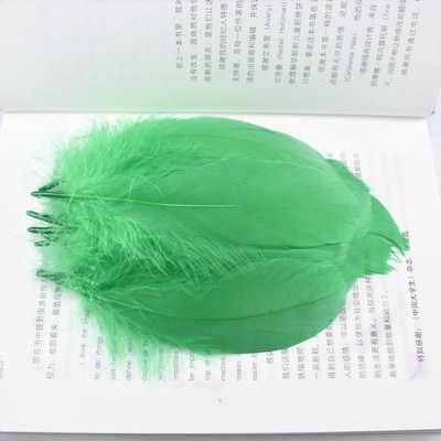 Feather Accessories Multipurpose Supplies Suitable Use For Making DIY Decoration