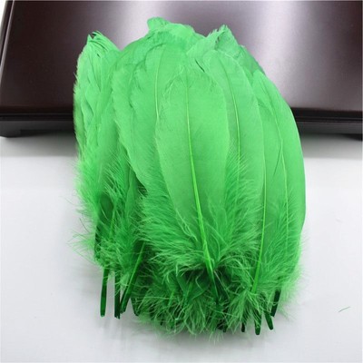 100pcs Dyed Goose Feathers Multicolor Feather Plumes DIY Clothing Decorations