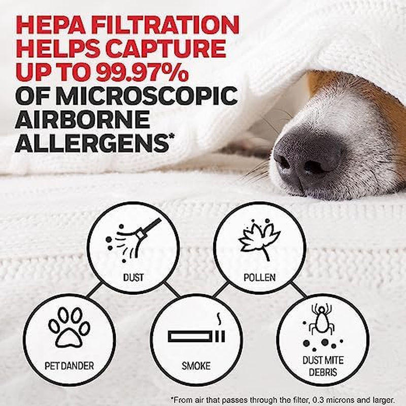 HEPA Air Purifier Filter G, 2-Pack for HPA030/HPA080 & HPA180 Series. Airborne A