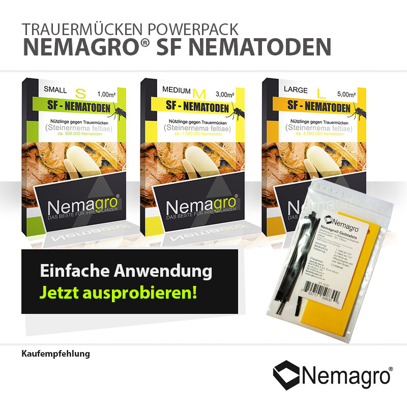 Fliegenplage bekämpfen mit Nemagro - Das Mittel gegen Trauermücken