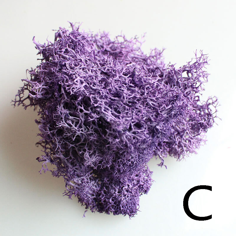 10g/Bag Artificial Green Moss Plants Flower Micro Landscape Fake Grass