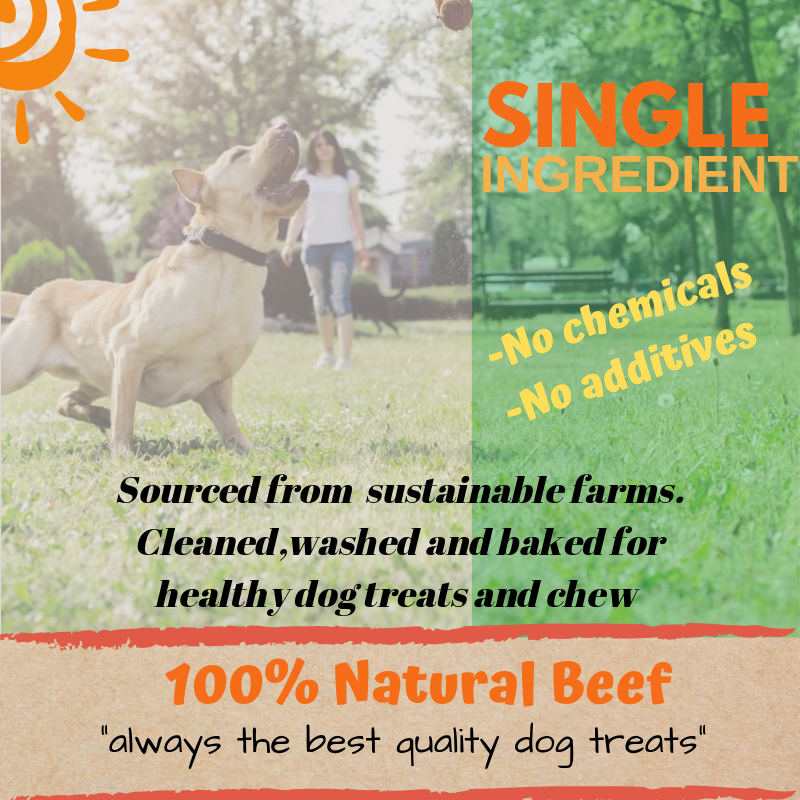 6" inch EXTRA THICK BULLY STICKS natural dog chews treats USDA & FDA approved