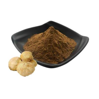 100g Lions mane (Hericium erinaceus) mushroom 50:1 Powder Hou Tou Gu 