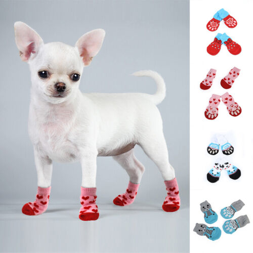CHIHUAHUA SHOES CHIHUAHUA SHOES