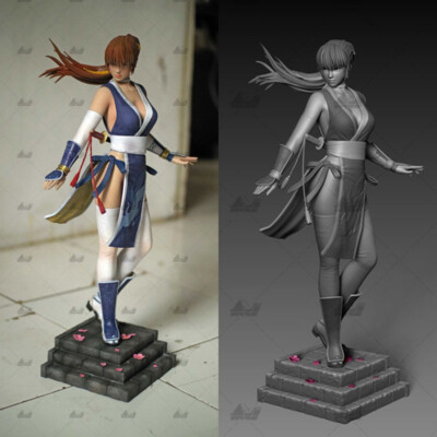 Dead or Alive Kasumi Unpainted Figure Model GK Blank Kit 33cm New Hot Toy Stock