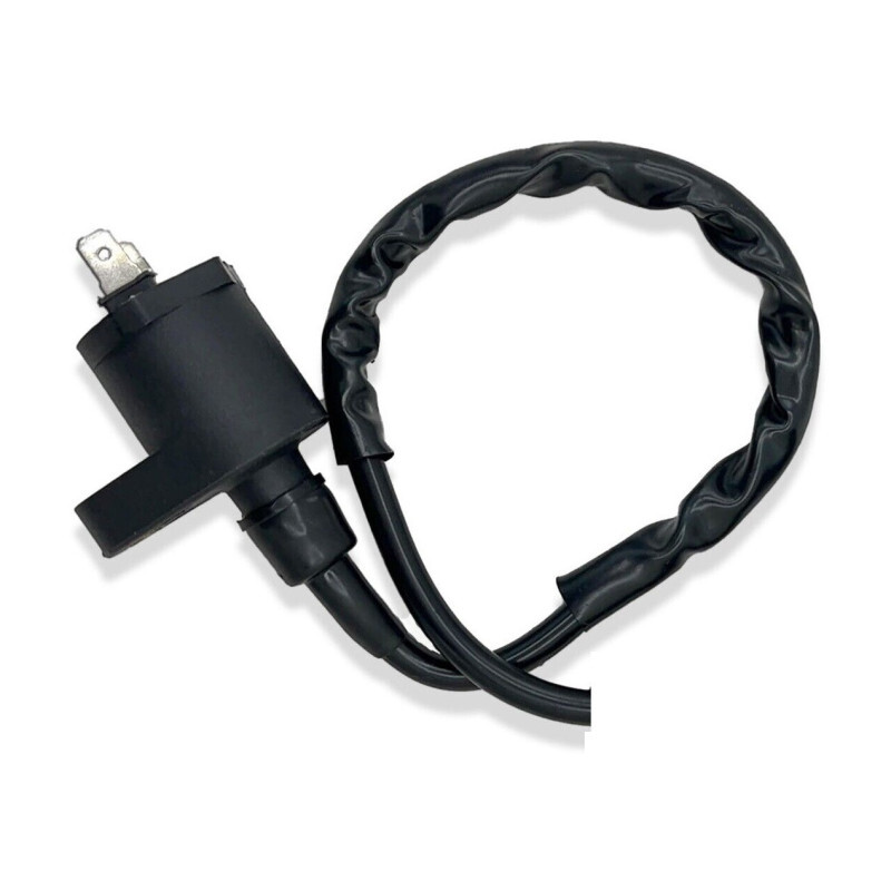 Bobines D'Allumage Pour Honda Aero 125 Nh De 1984 Ã  Nc