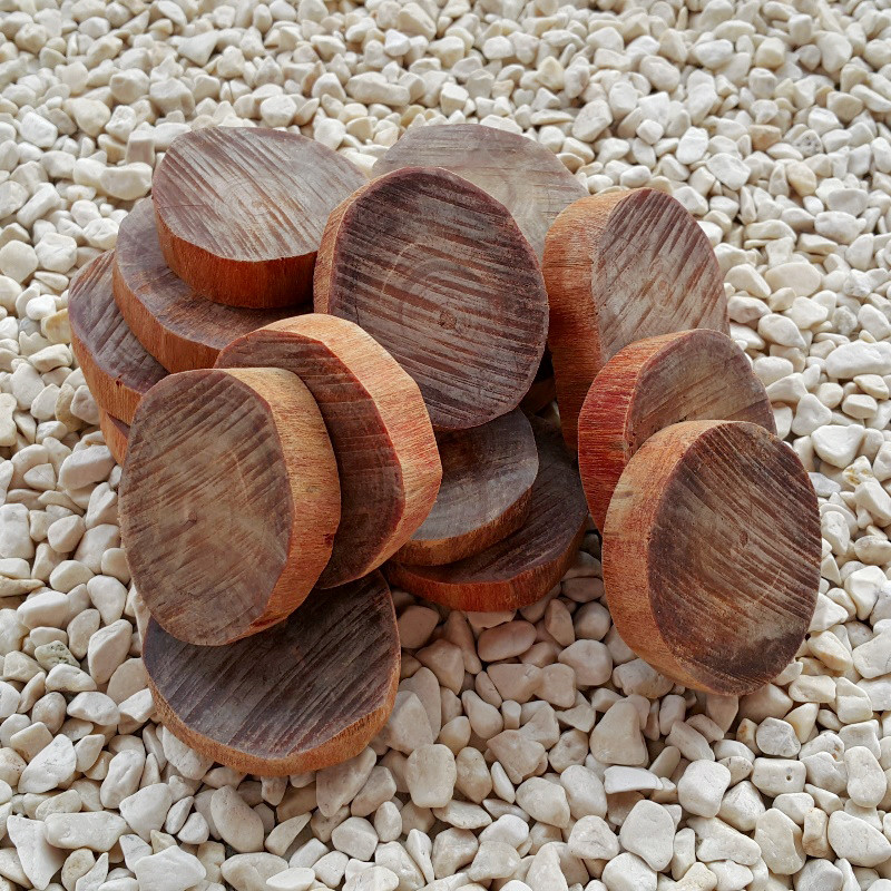 6 Piezas Translucido Raja Kayu Losas Borneo Agathis Alba Rebanadas Dragon Sangre Madera Ebay