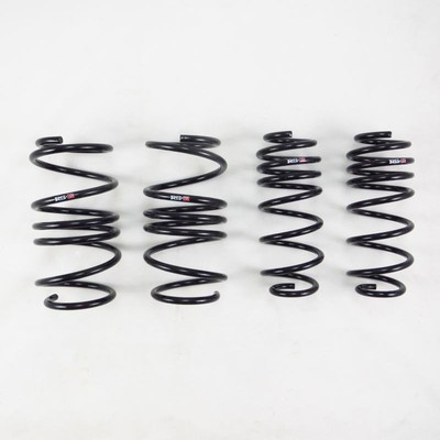 RS-R Down Sus Springs Fits 2017-2022 Honda Civic Type R (FK8)